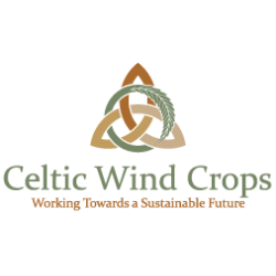 Celtic Wind